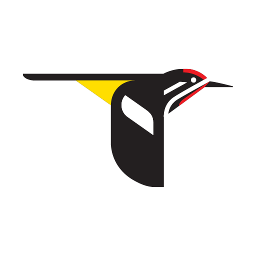 Merlin Bird icon